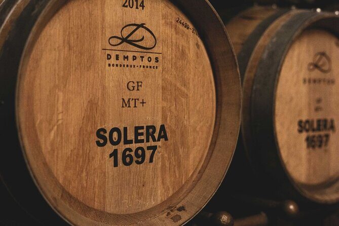 Guided Tour with 6 Wine Tasting - Inside the winery: architecture meets production