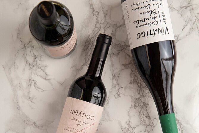 Guided Tour with 6 Wine Tasting - The 6-wine tasting: how to enjoy it without overthinking