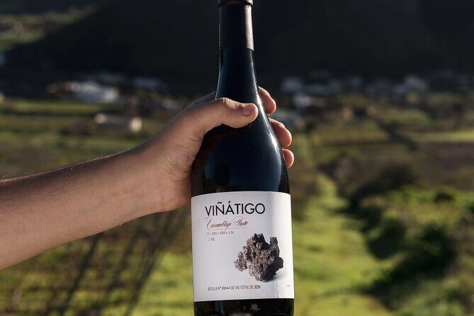 Guided Tour with 6 Wine Tasting - Price and what $48.19 gets you (and what it doesn’t)