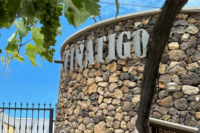 Guided Tour with 6 Wine Tasting - Getting there and making the day smoother