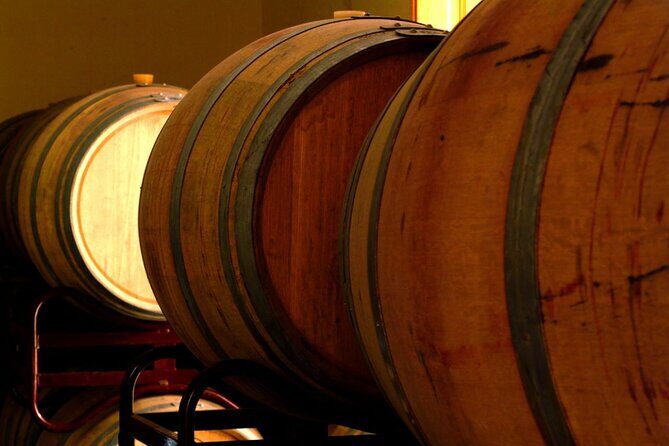 Guided Tour with 6 Wine Tasting - Who this tour suits best on Tenerife