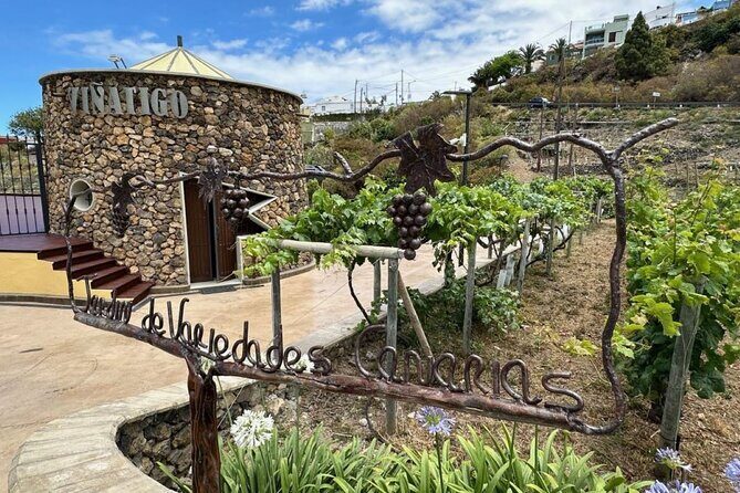 Guided Tour with 6 Wine Tasting - Variety Garden: the quickest route to understanding the grapes