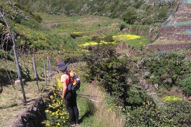 Hiking tour in the Anaga biosphere reserve in Tenerife - Parque Rural de Anaga: what you actually walk through