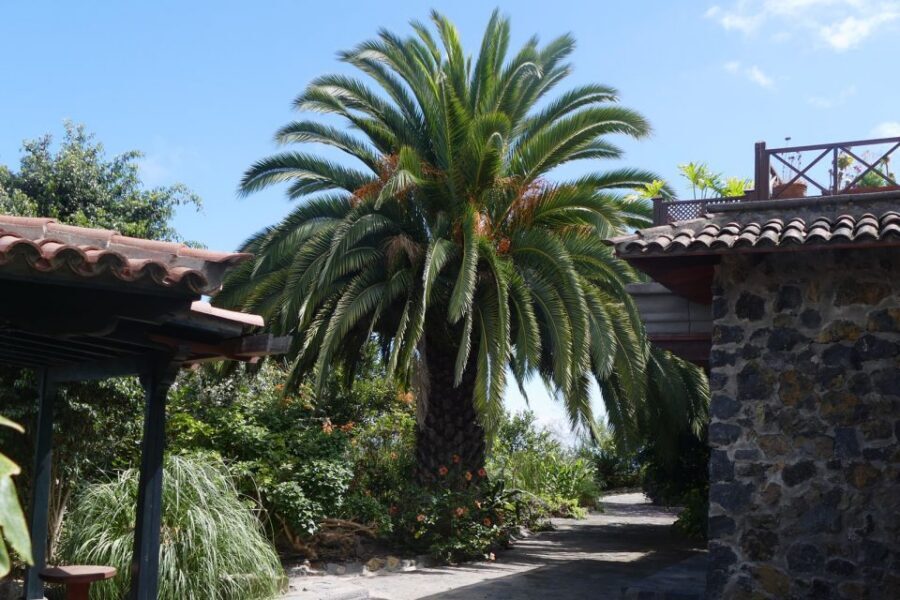 Icod de los Vinos: ARTlandya Doll World Entry Ticket & Tour - Inside the former finca: stone walls, tiled roof, and wooden character