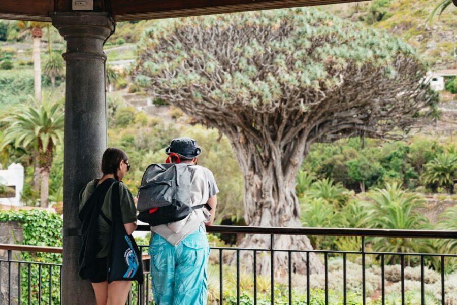 Icod de los Vinos: Dragon Tree & Botanical Garden Ticket - Should you book the Dragon Tree & Botanical Garden Ticket?