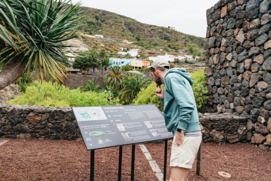 Icod de los Vinos: Dragon Tree & Botanical Garden Ticket - Viewpoint break and a vending snack you don’t have to plan around