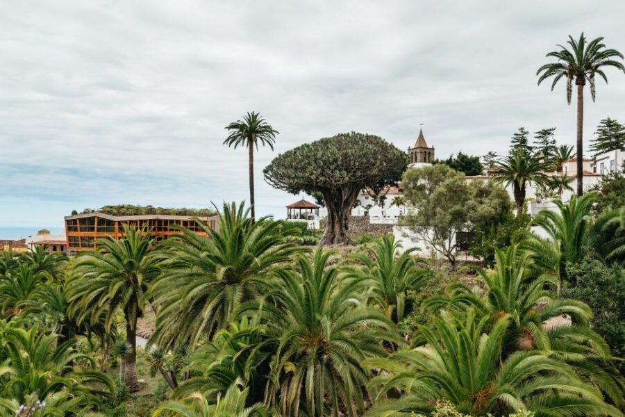 Icod de los Vinos: Dragon Tree & Botanical Garden Ticket - Who this ticket suits best in Icod de los Vinos