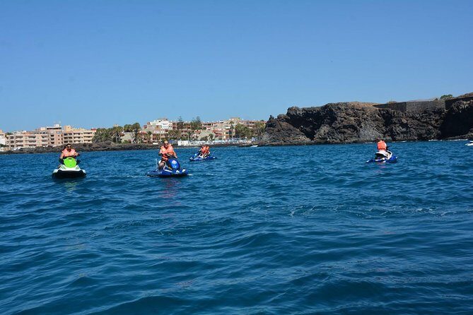 Jet Ski Safari South Tenerife - Wildlife odds: what you can expect from dolphins (and why it’s never guaranteed)