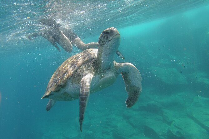 Kayak Route along the Volcanic Coast in Tenerife South with Snorkeling - Entering the world of Los Cristianos kayak time