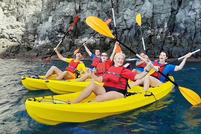 Kayak with Dolphin & Turtle Watching Private Tour - Key highlights you should know