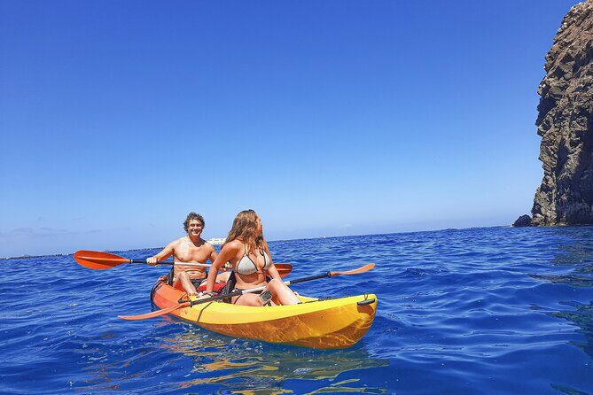 Kayak with Dolphin & Turtle Watching Private Tour - Kayak, Sea Life, and the Teno Rasca Stretch