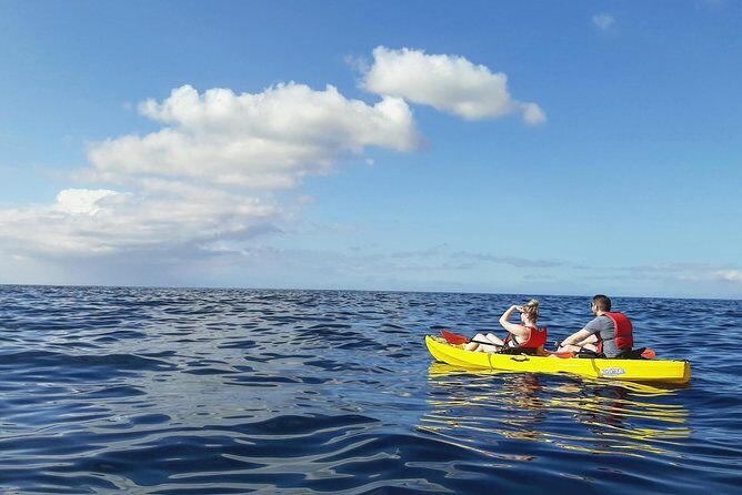 Kayak with Dolphin & Turtle Watching Private Tour - Who This Tour Fits Best (and Who Might Struggle)