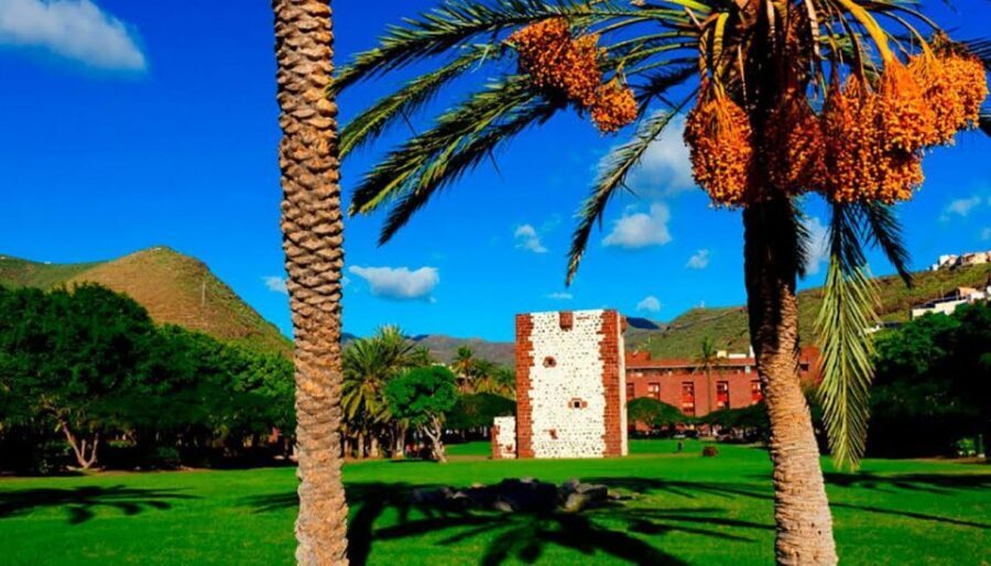 La Gomera Vip Experience - Who This Tour Suits Best (and Who Might Want to Skip It)