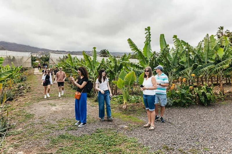 La Orotava: Eco Banana Plantation Tour with Banana Liquor - Biodiversity in practice: avoiding pesticides and fertilizers