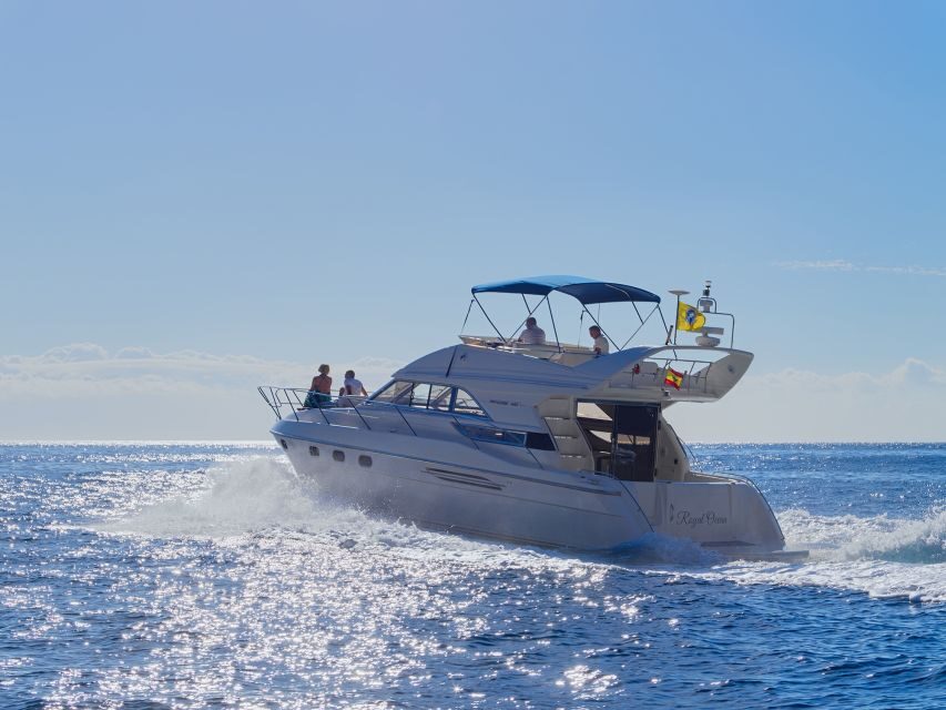Las Galletas: Private Luxury Yacht Cruise with Lunch - Who This Yacht Cruise Fits Best (And Who Should Skip It)