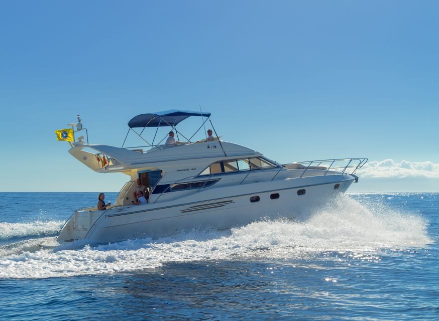 Las Galletas: Private Luxury Yacht Cruise with Lunch - Whale and Dolphin Watching That Prioritizes Viewing