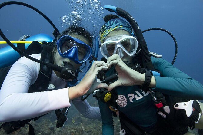 Learn Scuba Diving in Tenerife with Photos Included - Meet-Up in Los Cristianos: Location, Pickup Limits, and Timing