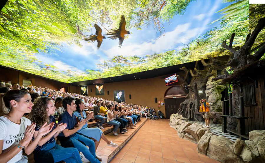 Loro Parque and Siam Park Combined Admission Tickets - Quick hits before you go