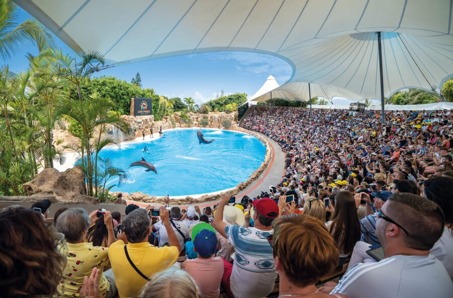Loro Parque and Siam Park Combined Admission Tickets - Should you book this Loro Parque and Siam Park twin ticket?