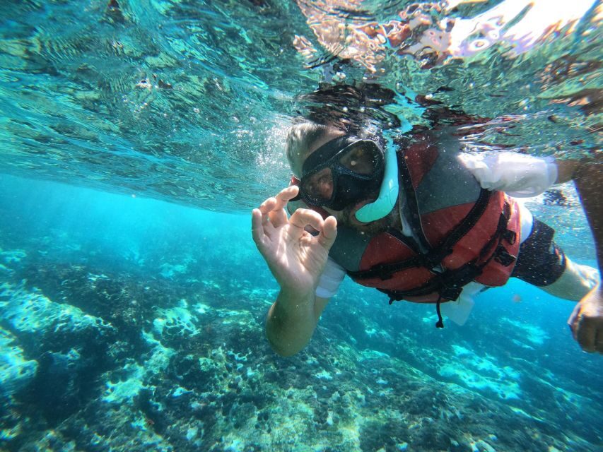 Los Cristianos: Kayaking and Snorkeling with Marine Wildlife - Palm-Mar snorkeling: a focused half-hour for fish and turtles