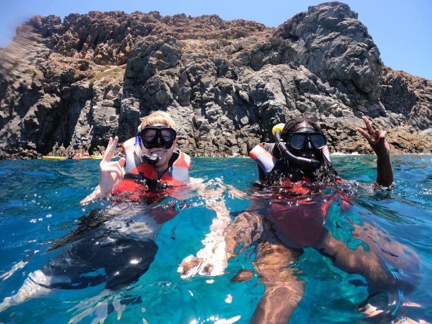 Los Cristianos: Kayaking and Snorkeling with Marine Wildlife - Who should book this Los Cristianos kayaking and snorkeling trip?