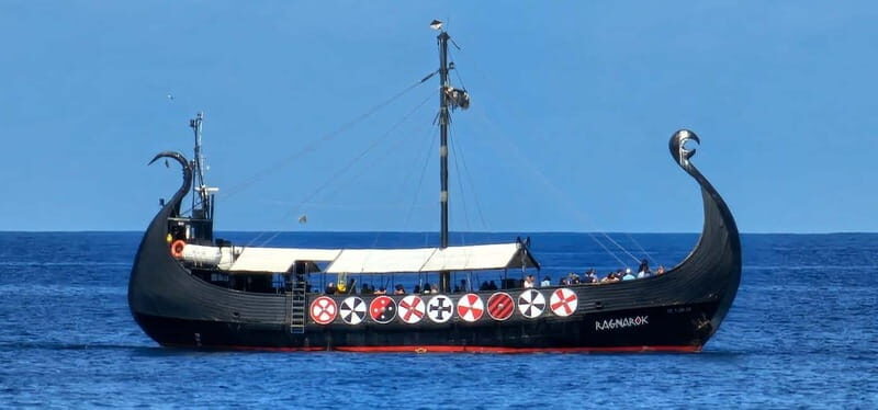 Los Cristianos: Viking Cruise Whales & Dolphins Watching - Comfort on Board: Space, Toilets, Water, and the Bar Reality