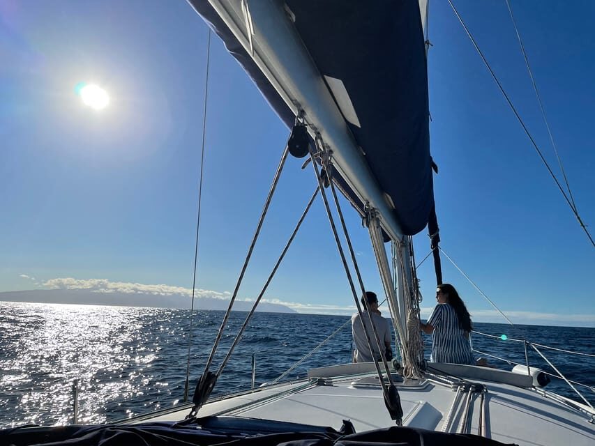 Los Gigantes: Private Sailing Tour with Swim, Drink, & Tapas - Tips to make your day smoother