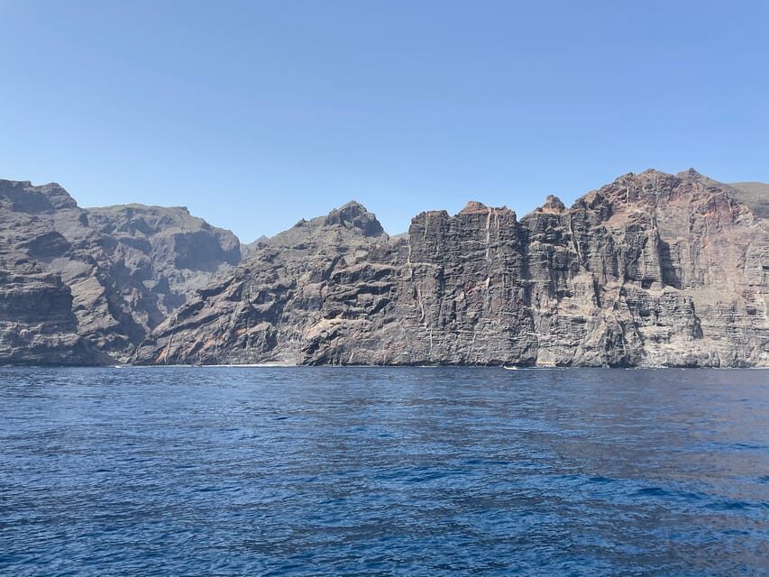 Los Gigantes: Private Sailing Tour with Swim, Drink, & Tapas - The snorkeling stop: seeing sea turtles, octopuses, and manta rays