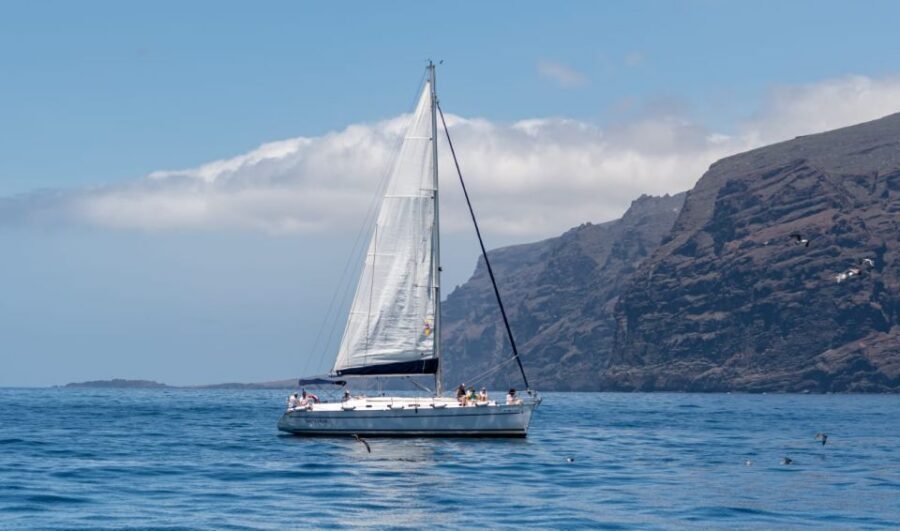 Los Gigantes: Private Sailing Tour with Swim, Drink, & Tapas - Price: is $765 per group worth it?