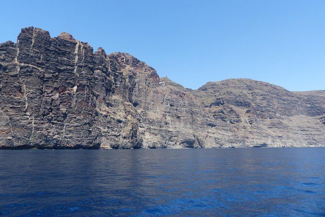 Los Gigantes Whale Watching Charter by Sail Boat - Food and drinks onboard: included lunch-style comfort (with dietary options)