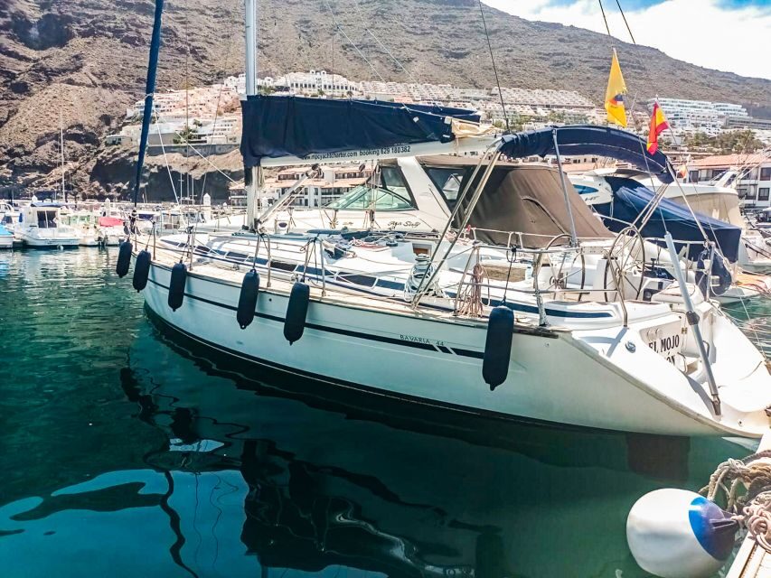 Los Gigantes: Whales and Dolphin Watching Cruise with Lunch - Should you book Los Gigantes whales and dolphins with lunch?