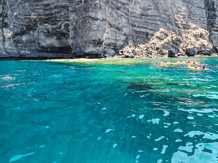 Los Gigantes: Whales and Dolphin Watching Cruise with Lunch - The Cliffs of the Giants base stop: snorkeling in a natural cove