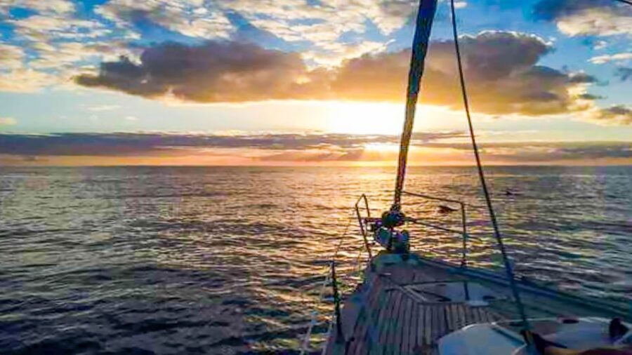 Los Gigantes: Whales and Dolphin Watching Cruise with Lunch - Value check: is $74 worth it?