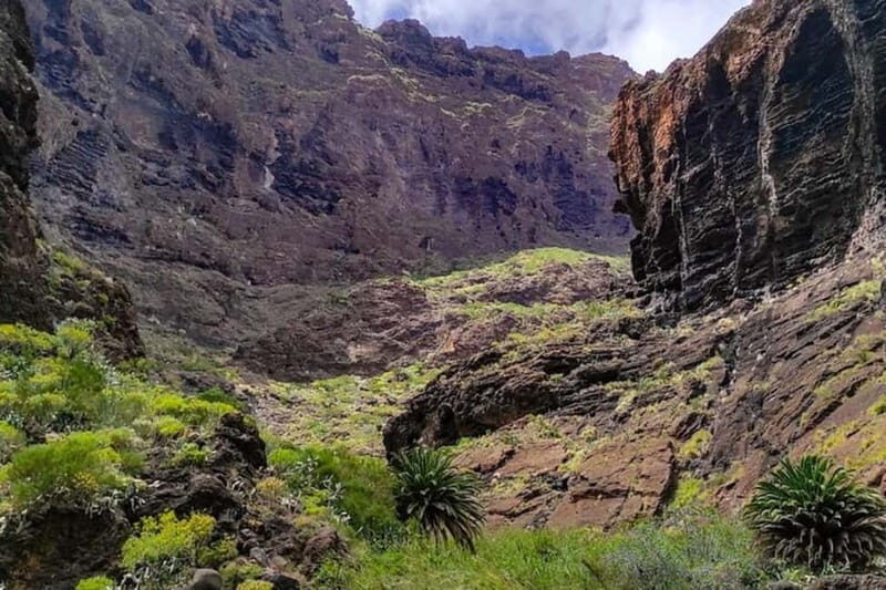 MASCA GORGE Trail: Guided Hike - The water taxi to Los Gigantes: cliffs up close, with a real reward