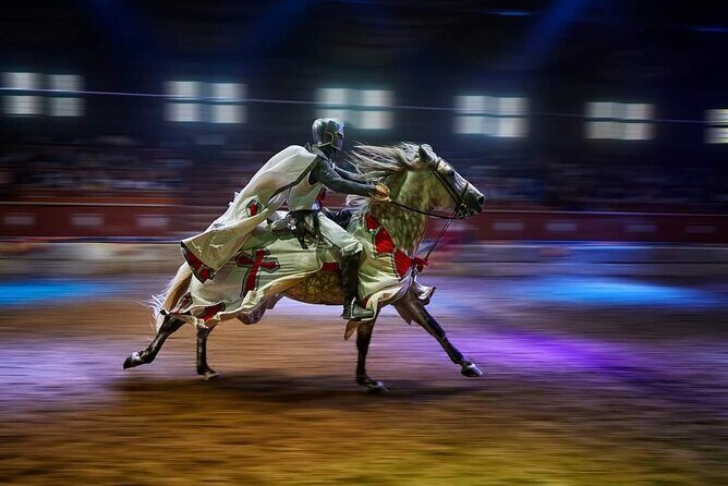 Medieval Castle with dinner from Puerto de la Cruz in TenerifeSur - Who should book this medieval castle dinner show