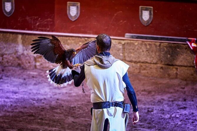 Medieval Castle with dinner from Puerto de la Cruz in TenerifeSur - Should you book this medieval castle dinner show?