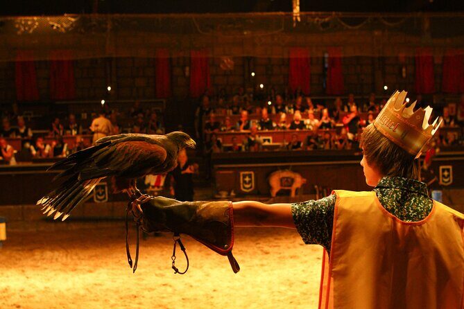 Medieval San Miguel castle with dinner-Show in South Tenerife - Getting There: Pickup, Meeting Point, and Timing Reality