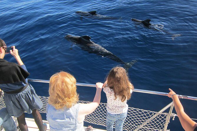 Most Famous Catamaran in Tenerife Island (2 hours and 3 hours tours) - Getting to Puerto Colón: Gate 4 and the part people miss