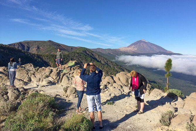 Mount Teide and Tenerife North with Food & Wine Tasting Private Tour - Teide National Park: volcanic power, endemic life, and real altitude