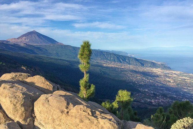 Mount Teide and Tenerife North with Food & Wine Tasting Private Tour - Pacing, comfort, and private-group logistics from pickup to drop-off
