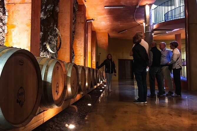 Mount Teide and Tenerife North with Food & Wine Tasting Private Tour - Price and value for a private day with wine included