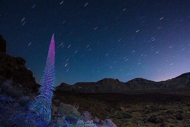 Mount Teide Night Tour: Stargazing, Dinner and Hotel Pick up - Teide National Park at Night: Where the Stars Come In
