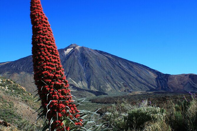 Mount Teide Quad Day Trip in Tenerife National Park - Packing smart for Teide quad day (so you stay comfortable)