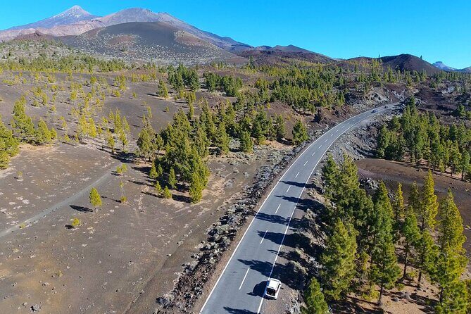 Mount Teide Quad Day Trip in Tenerife National Park - Who should book this quad ride—and who should skip it