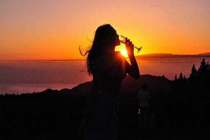Mount Teide Stargazing with Dinner - Who should book this Teide night tour