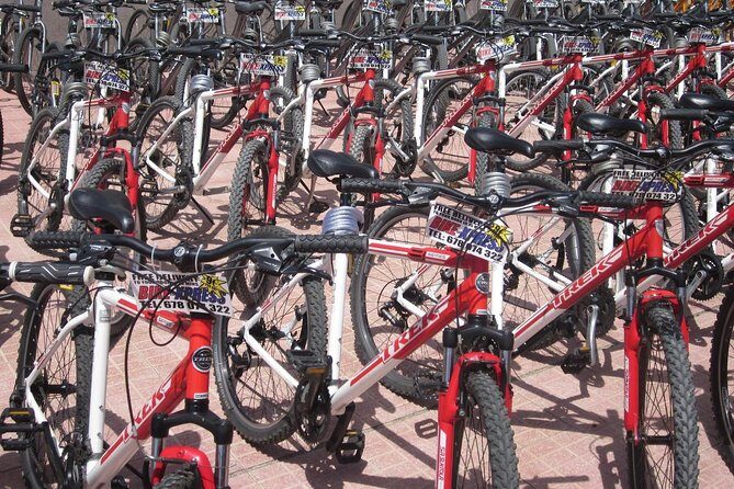 Mountain Bike Rental Tenerife - Condition, Extras, and the Little Details That Save You Stress