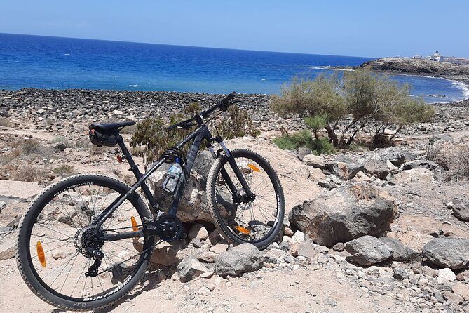 Mountain Bike Rental Tenerife - Price and Value: Why This Costs About $29