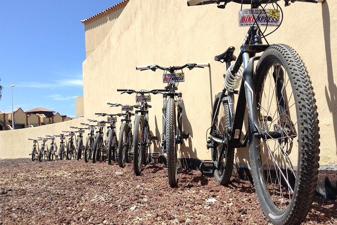 Mountain Bike Rental Tenerife - Delivery and Pickup: The Real Convenience Factor