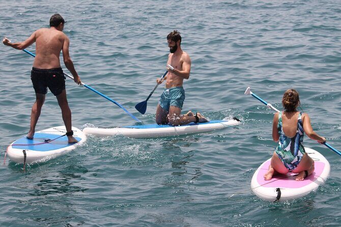 Paddle Surf - Key highlights to look for