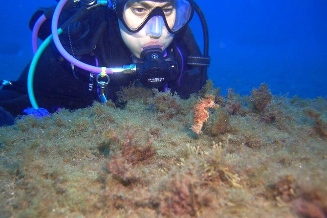 PADI Advanced Open Water Diver Course (AOWD) - 2 days - The course goals: skills that actually transfer to every future outing